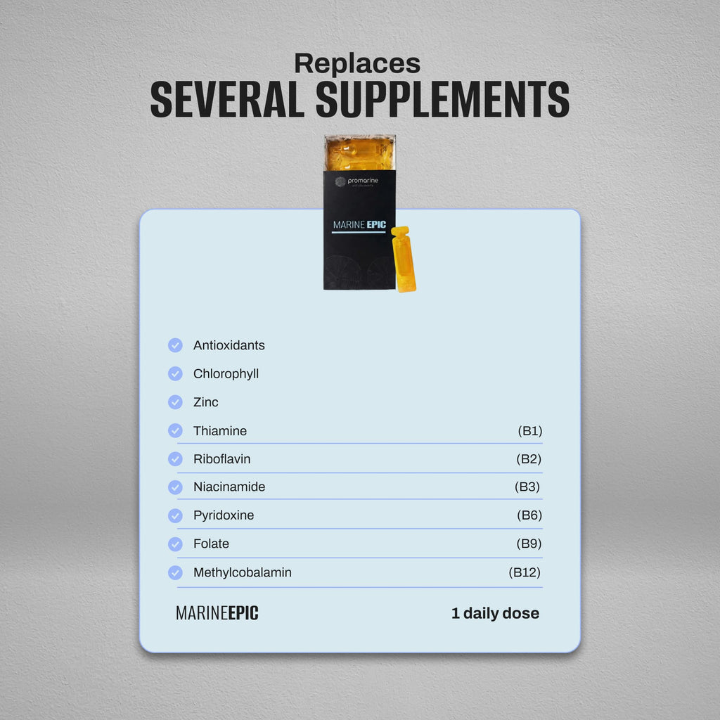 Marine Epic | Well-being, Vitality, and Daily Performance